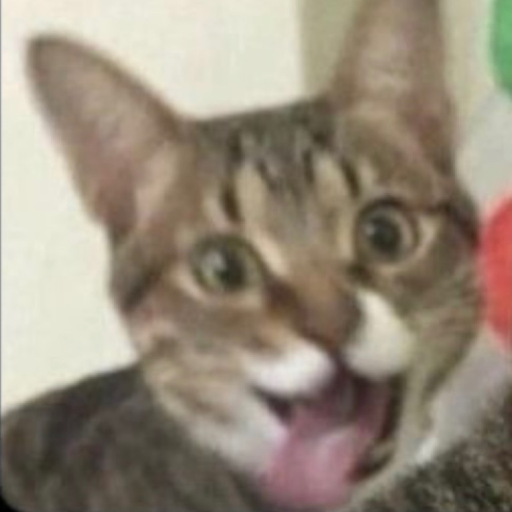 Meet your Posher, Aubrie